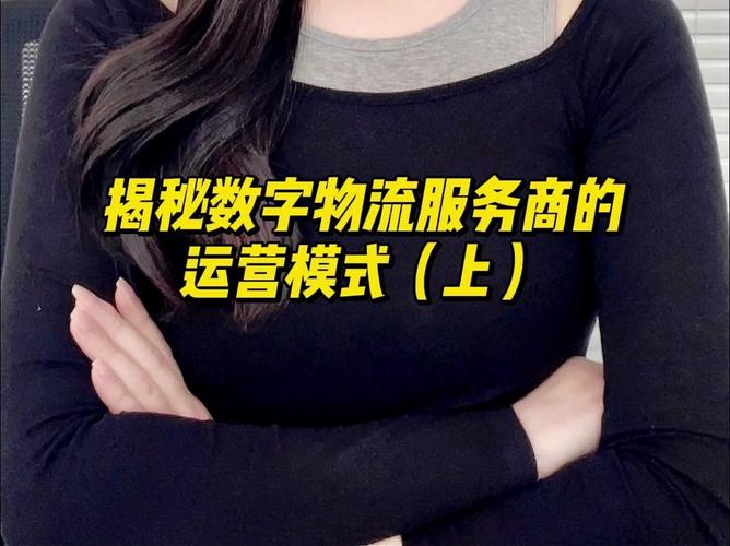 揭秘数字物流服务商的运营模式